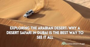 Why a Evening Desert Safari in Dubai is the Best Way to See It All